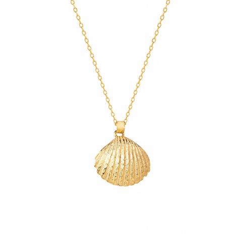 14K Gold Plated 3D Seashell Necklace - 12-24 in M.0513